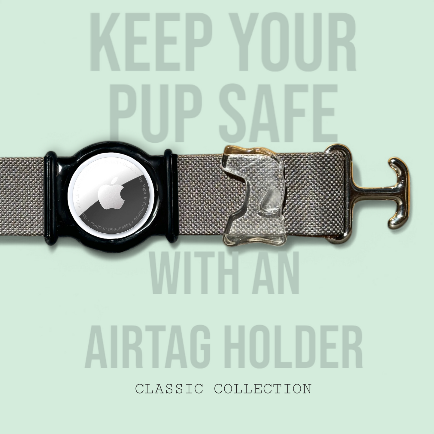 Charcoal - Classic Collar