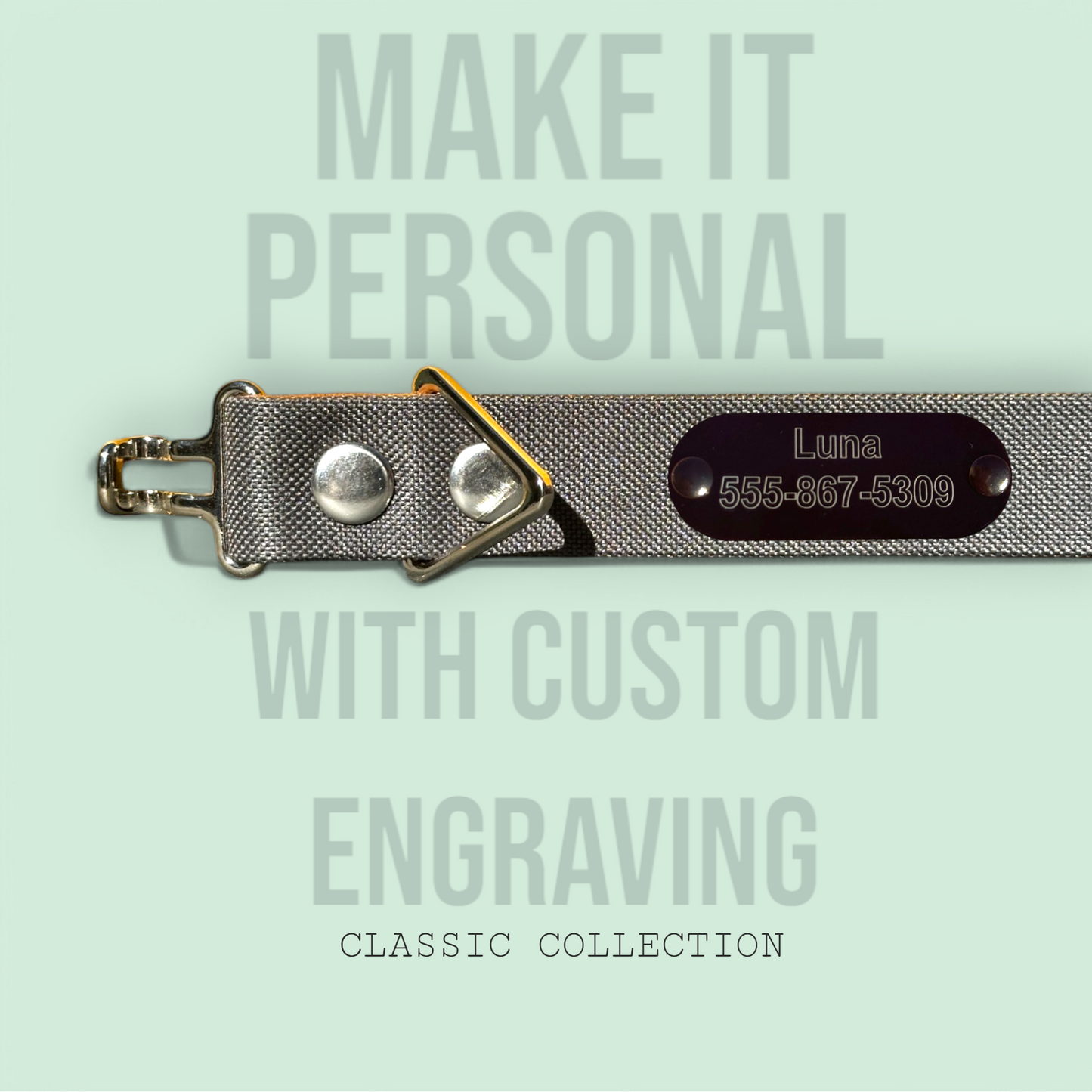 Charcoal - Classic Collar