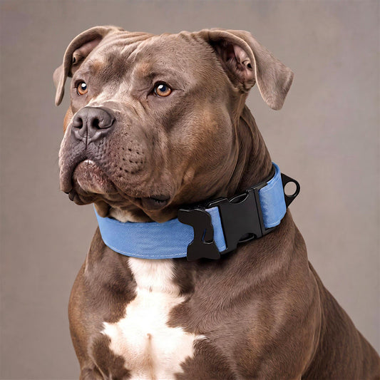 Rugged XL Extra Strong Dog Collar - hundhaus.dog