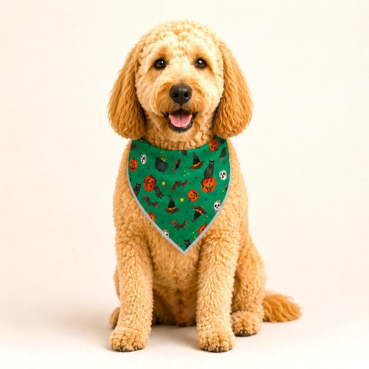 Adjustable Gold Chain Dog Bandana - Emerald Fright Night - hundhaus.dog