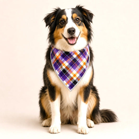 Adjustable Gold Chain Dog Bandana - Purple Halloween Plaid - hundhaus.dog
