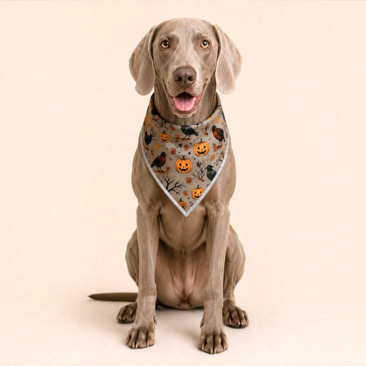 Adjustable Gold Chain Dog Bandana - Raven Harvest - hundhaus.dog