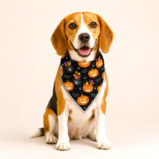 Adjustable Gold Chain Dog Bandana - Trick-or-Treat Pumpkins - hundhaus.dog