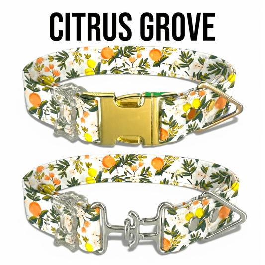 Classic Collar Collection - hundhaus.dog