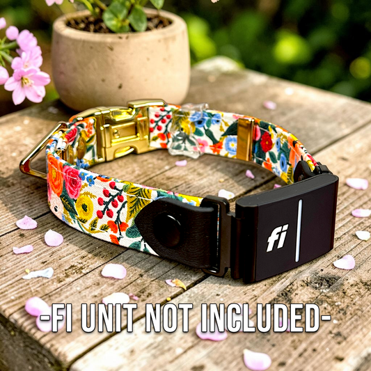 Classic Fi - Compatible Dog Collar - hundhaus.dog