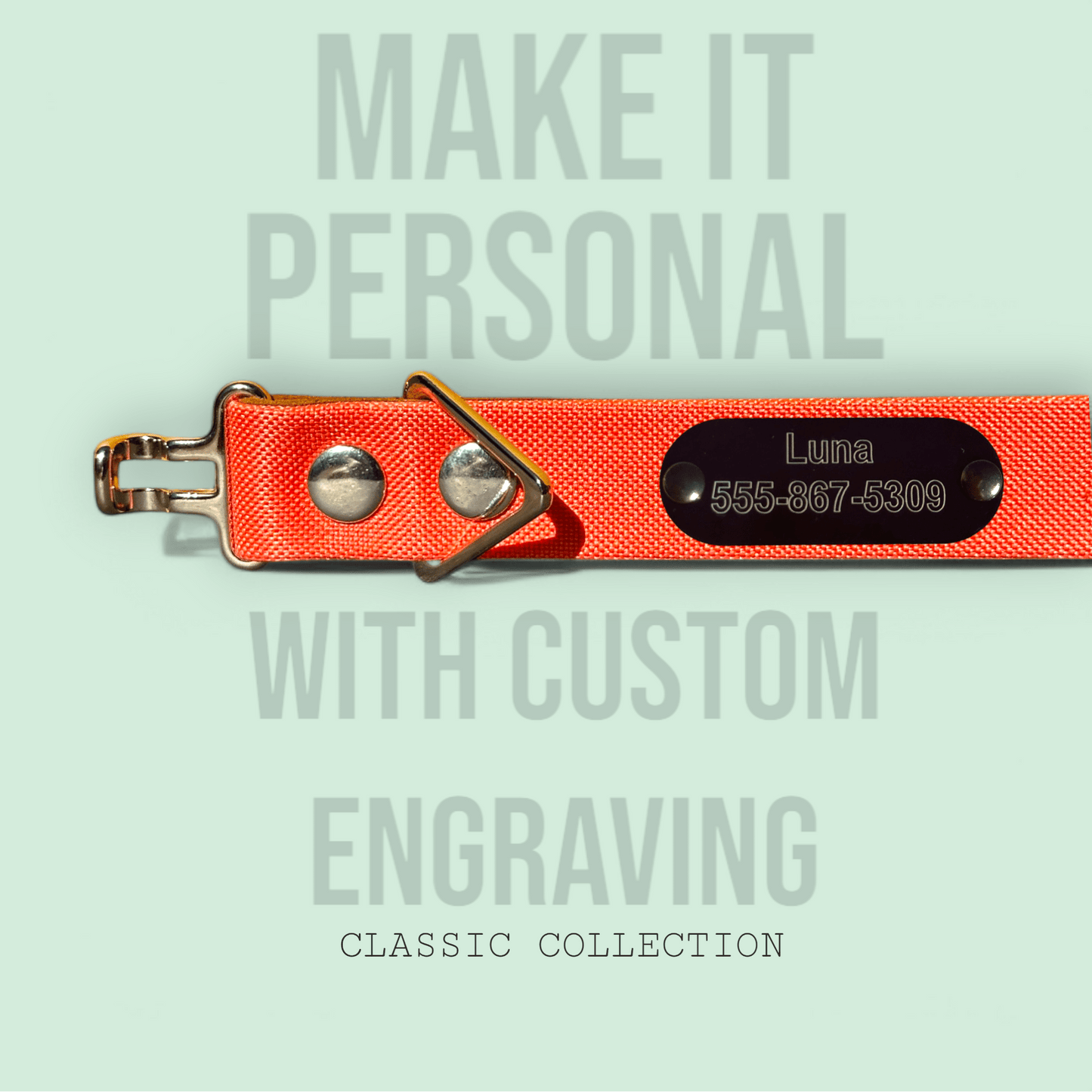 Coral - Classic Collar - hundhaus.dog