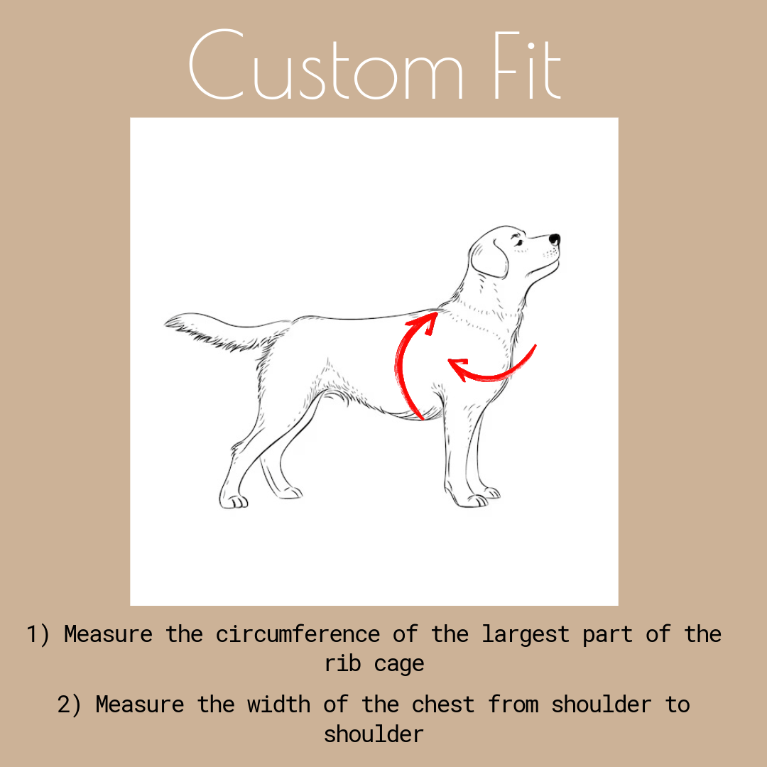 Custom Fit Harness - hundhaus.dog