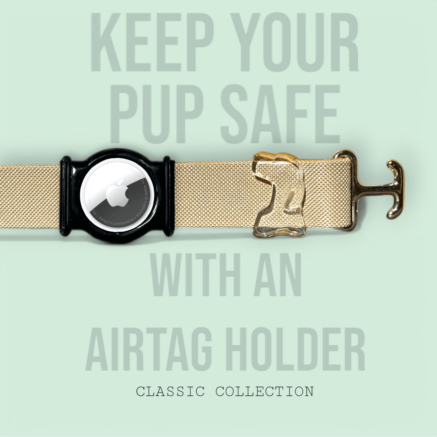 Desert - Classic Collar - hundhaus.dog