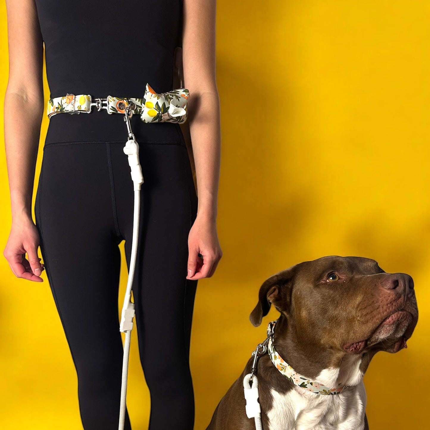 Hands - Free Dog Leash Belt with Rope & Waste Bag Holder - hundhaus.dog