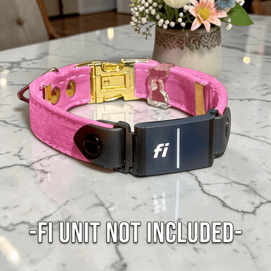 Luxe Velvet Fi - Compatible Dog Collar - hundhaus.dog