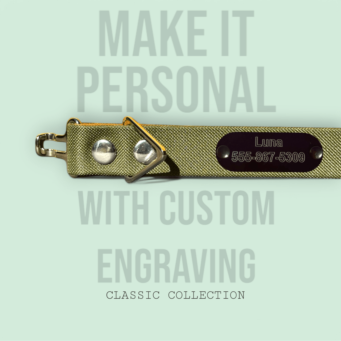 Olive - Classic Collar - hundhaus.dog