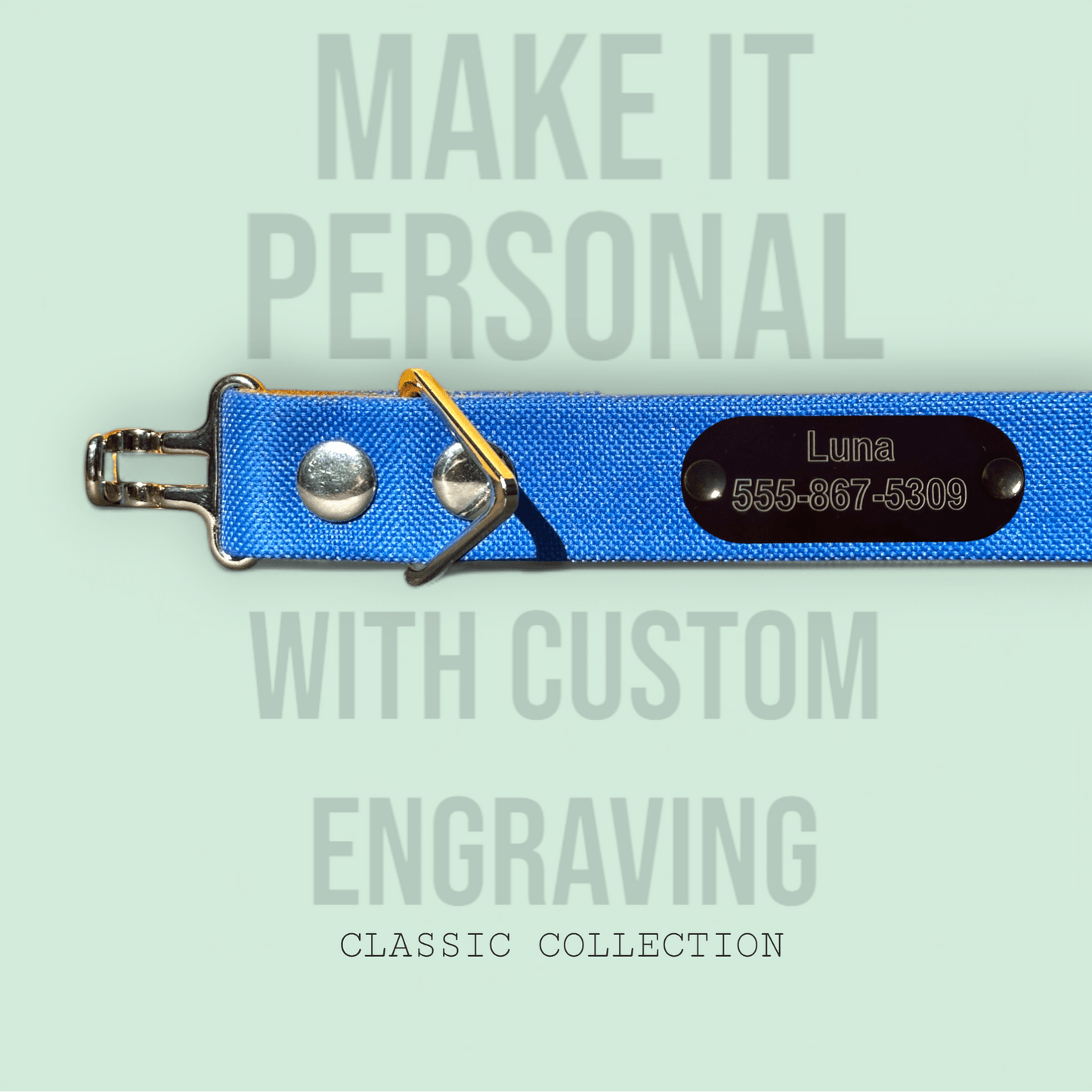 Royal Blue - Classic Collar - hundhaus.dog