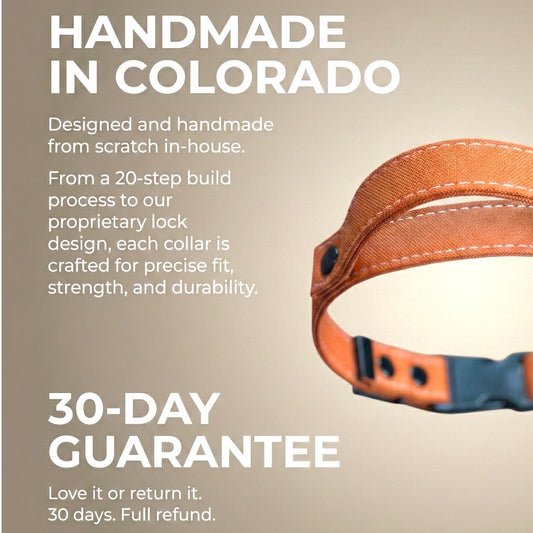 Rugged AirTag trackable dog collar - hundhaus.dog