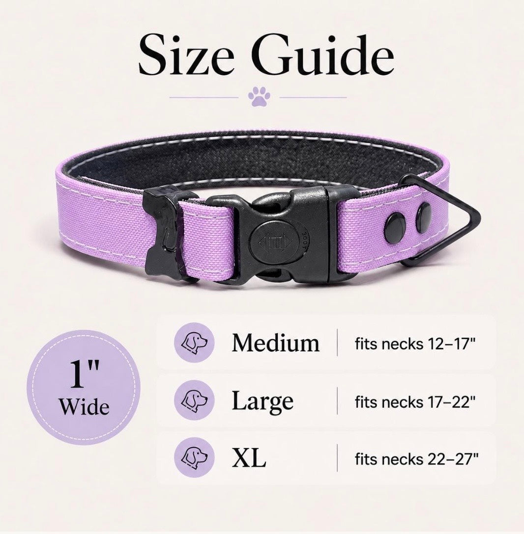 Rugged collar size guide, 1 inch wide: Medium fits necks 12–17 inches; Large 17–22 inches; XL 22–27 inches.