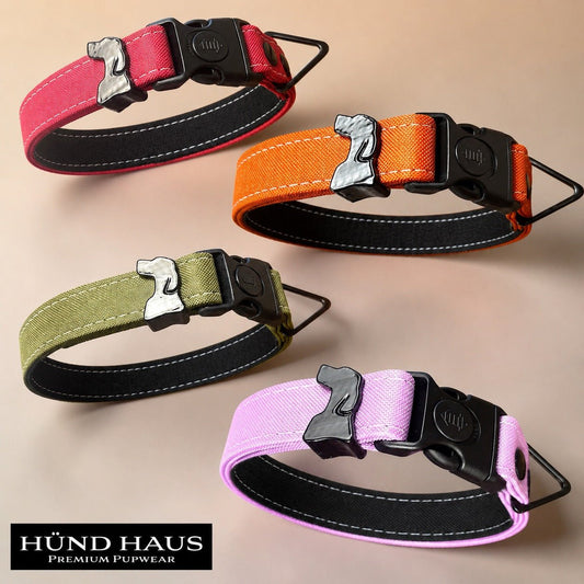 Rugged Collection Collars - Durable & Waterproof - hundhaus.dog
