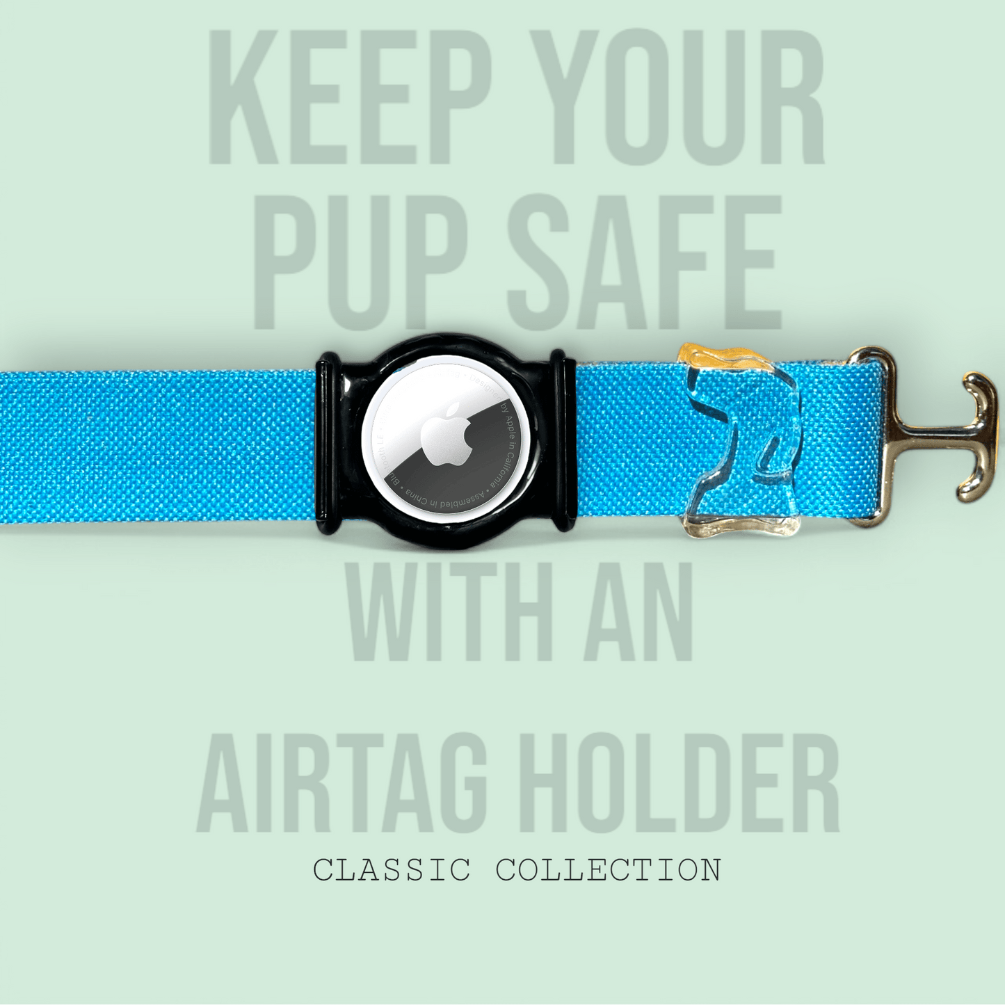 Turquoise - Classic Collar - hundhaus.dog