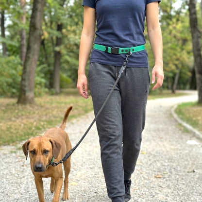 Hands Free LED Belt leash - hundhaus.dog