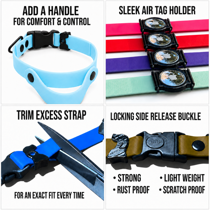 Sport Collars - hundhaus.dog