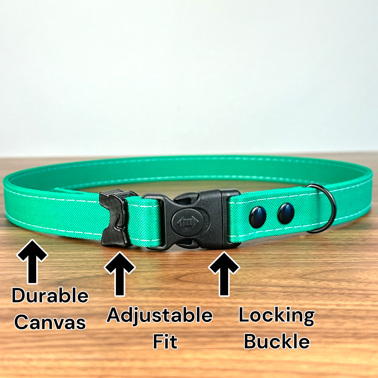 Hands Free LED Belt leash - hundhaus.dog