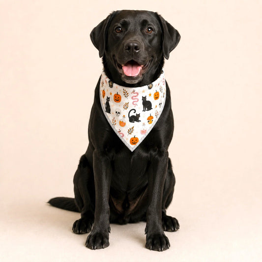 Adjustable Gold Chain Dog Bandana - Black Cat Potions - hundhaus.dog