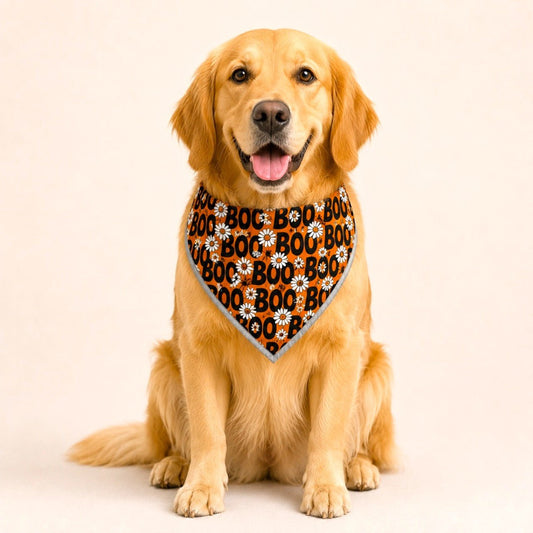 Adjustable Gold Chain Dog Bandana - Boo & Daisies - hundhaus.dog