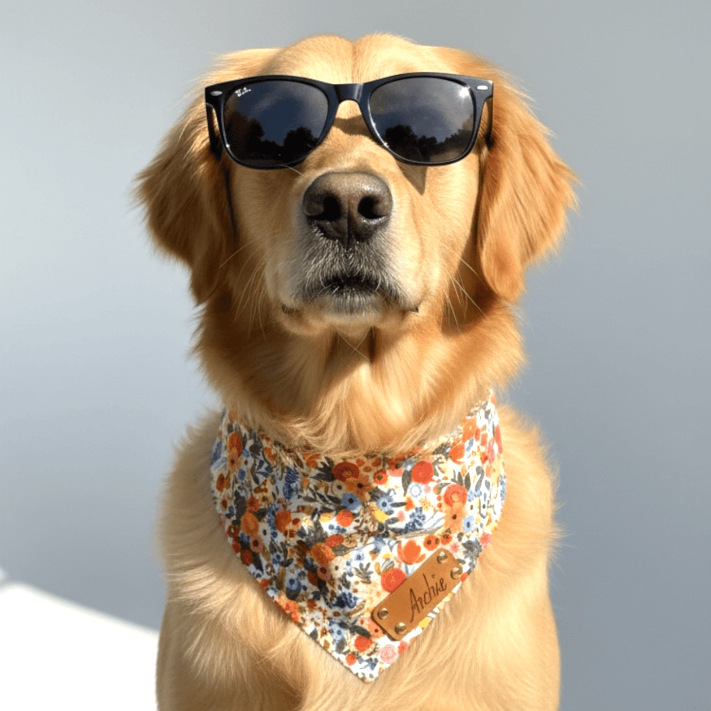 Adjustable Leather Strap Dog Bandana With Gold Hardware & Interchangeable Prints - hundhaus.dog