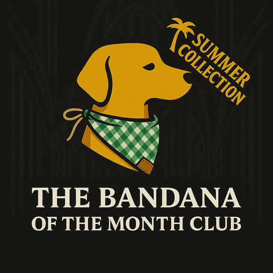 Bandana of the month club - hundhaus.dog