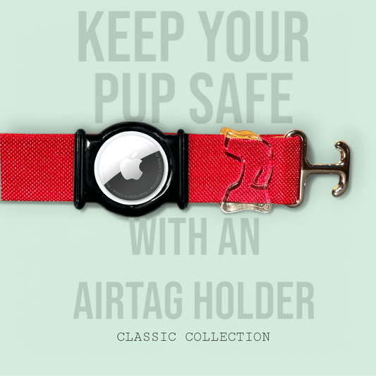 Burgundy - Classic Collar - hundhaus.dog