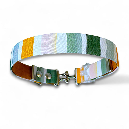 Canyon Stripe - Classic Collar - hundhaus.dog