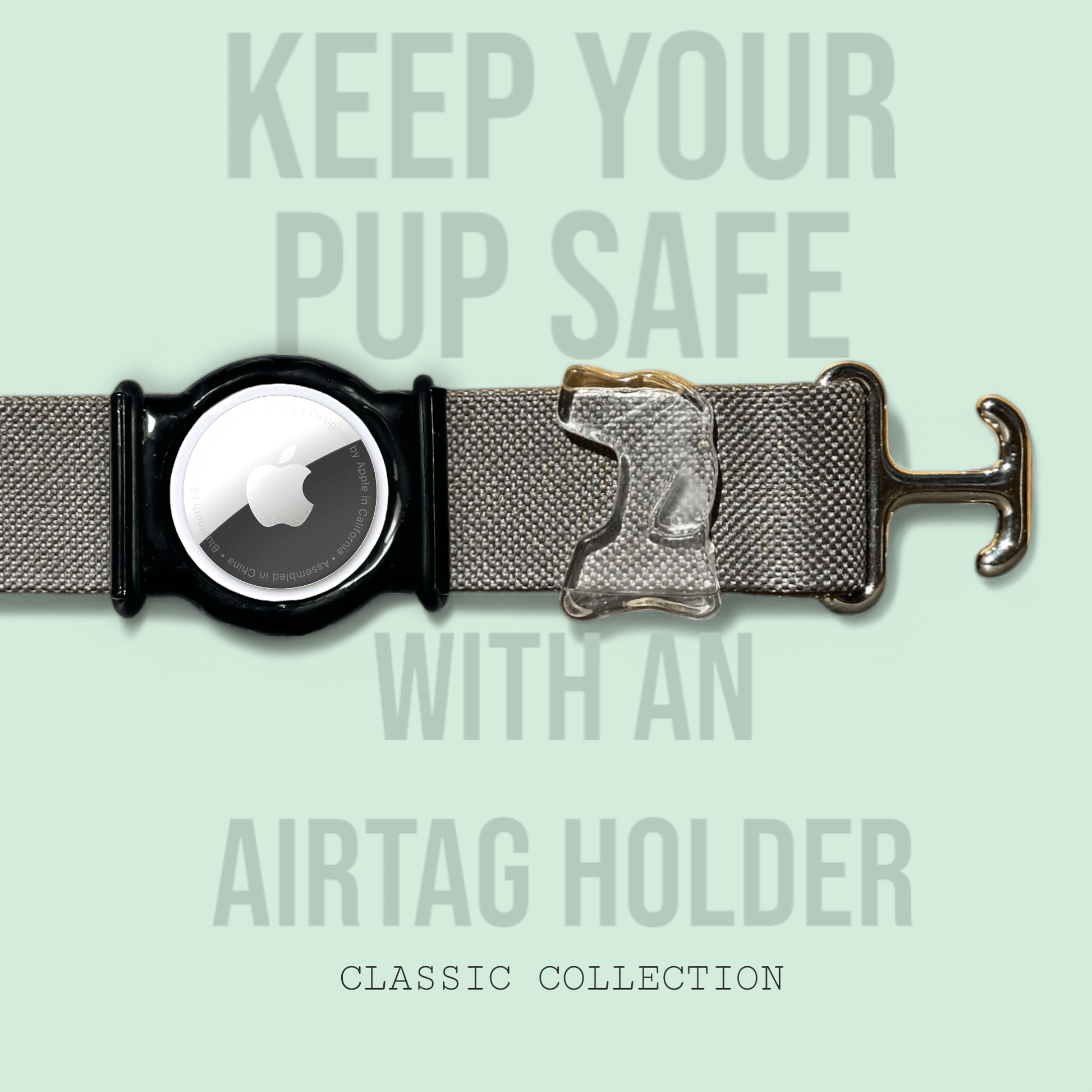 Charcoal - Classic Collar - hundhaus.dog