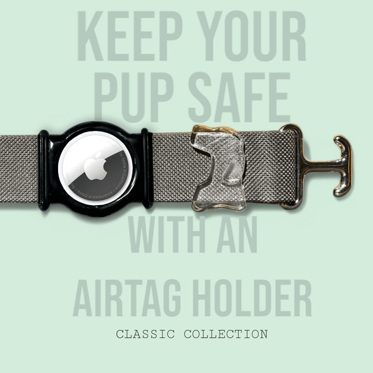 Charcoal - Classic Collar - hundhaus.dog