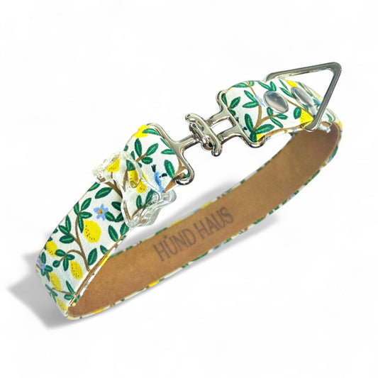 Citrus Grove Dog Collar – Handmade with Rifle Paper Co. Canvas - hundhaus.dog
