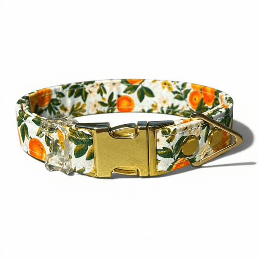 Classic Collar - Citrus Grove - Gold Hardware - hundhaus.dog