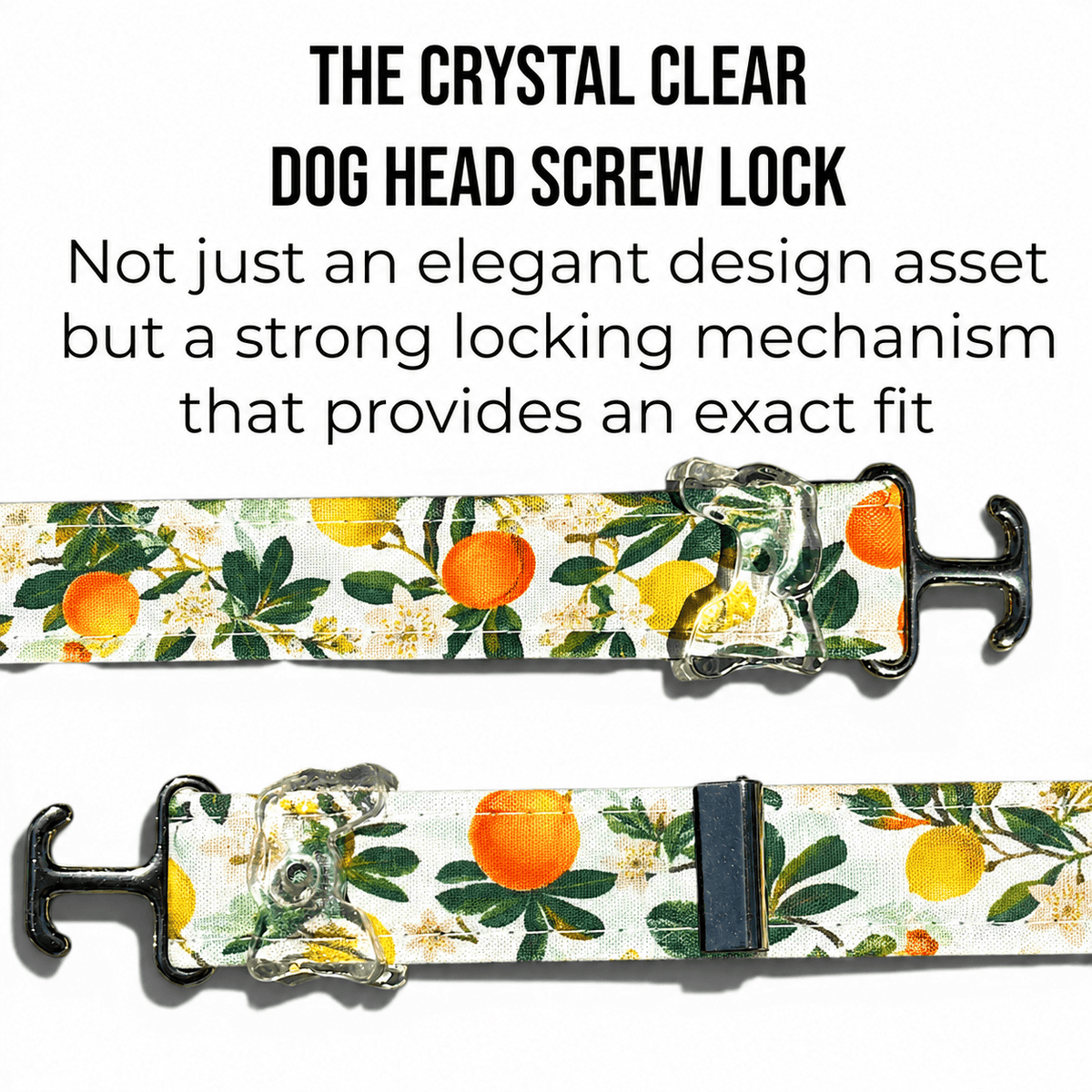 Classic Collar - Citrus Grove - Silver Hardware - hundhaus.dog