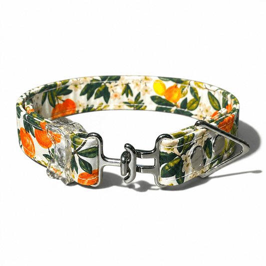 Classic Collar - Citrus Grove - Silver Hardware - hundhaus.dog