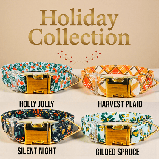 Classic Collar Collection - hundhaus.dog