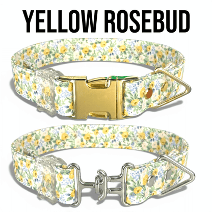 Classic Collar Collection - hundhaus.dog