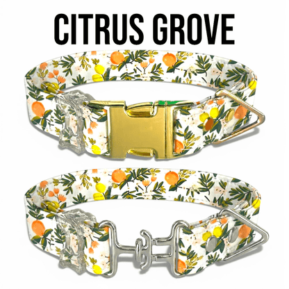 Classic Collar Collection - hundhaus.dog