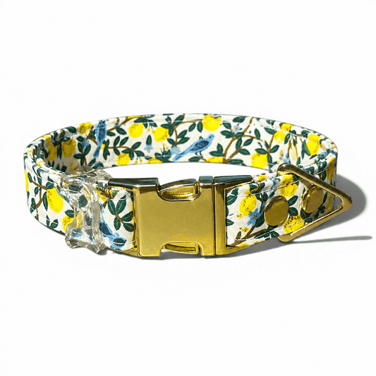 Classic Collar - Lemon Grove - Gold Hardware - hundhaus.dog