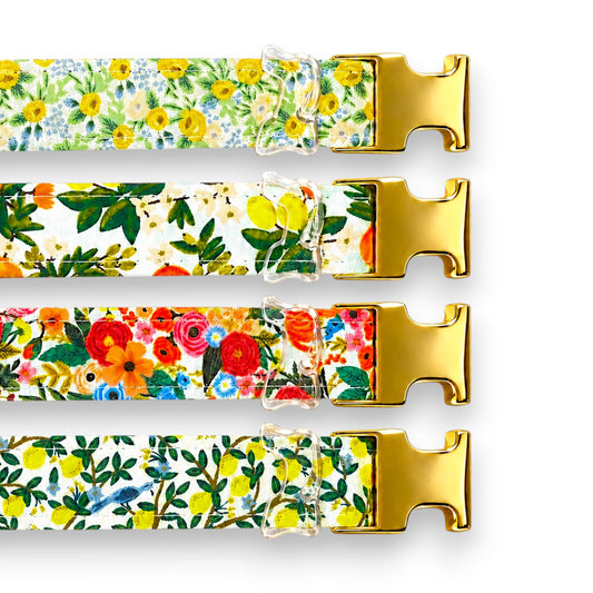 Classic Collection Collars- Stylish Designs - hundhaus.dog