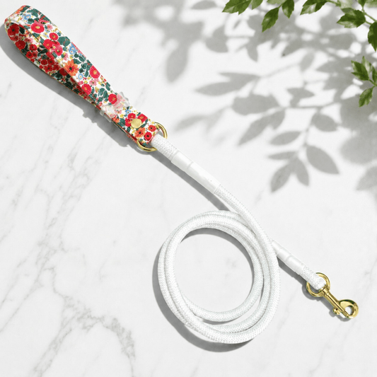 Classic Collection Leashes - hundhaus.dog