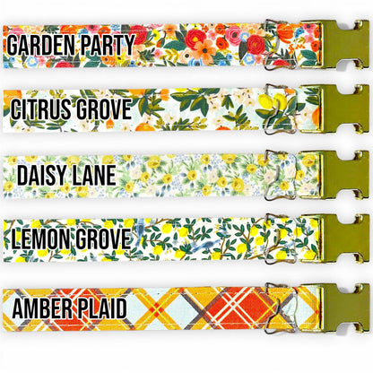 Classic Fi - Compatible Dog Collar - hundhaus.dog
