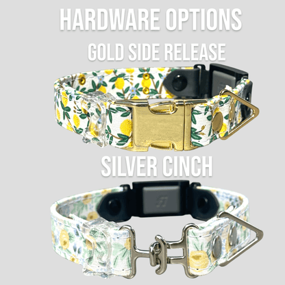 Classic Fi - Compatible Dog Collar - hundhaus.dog
