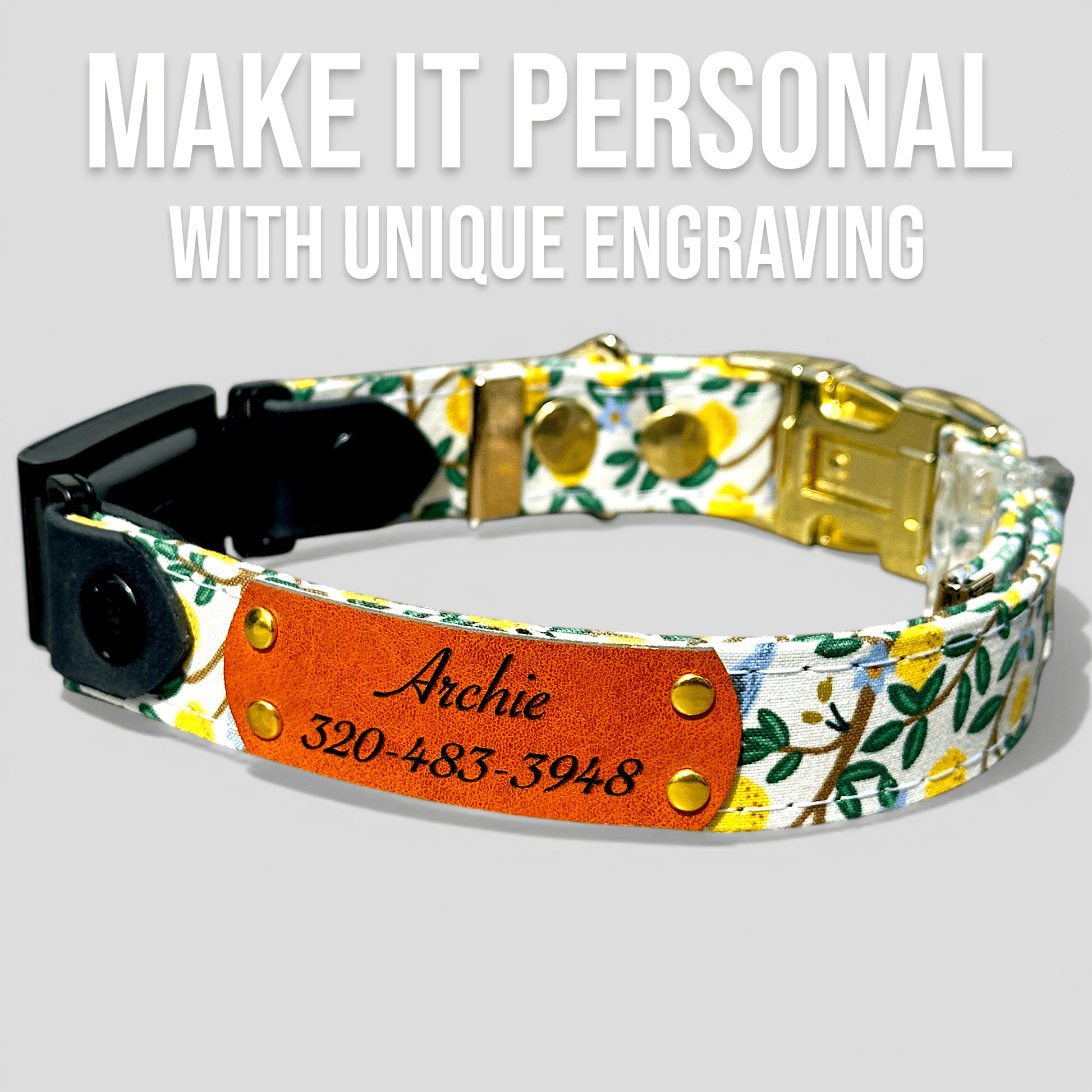 Classic Fi - Compatible Dog Collar - hundhaus.dog