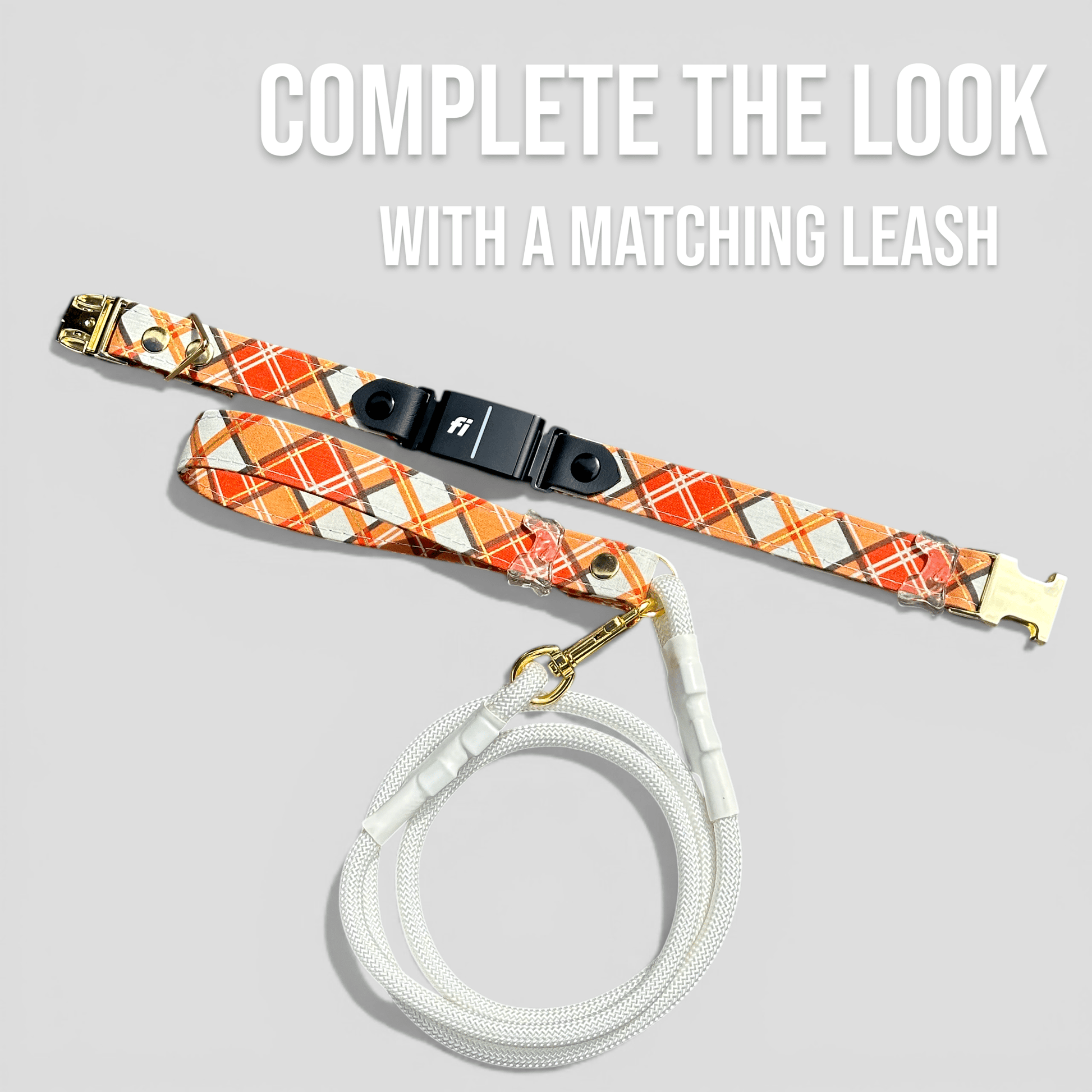 Classic Fi - Compatible Dog Collar - hundhaus.dog