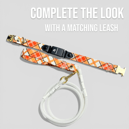 Classic Fi - Compatible Dog Collar - hundhaus.dog