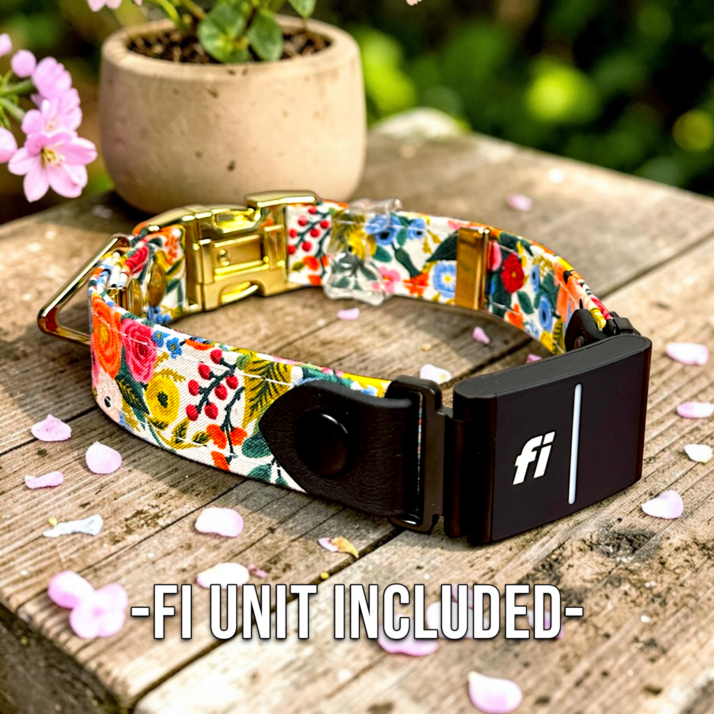 Classic Fi - Compatible Dog Collar - Fi GPS Included - hundhaus.dog