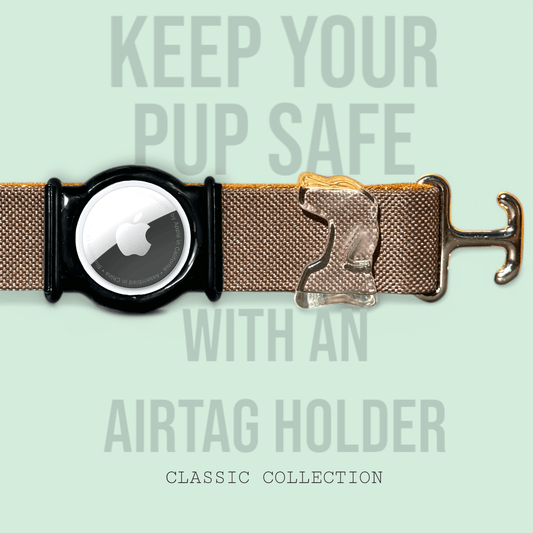 Coffee Brown - Classic Collar - hundhaus.dog