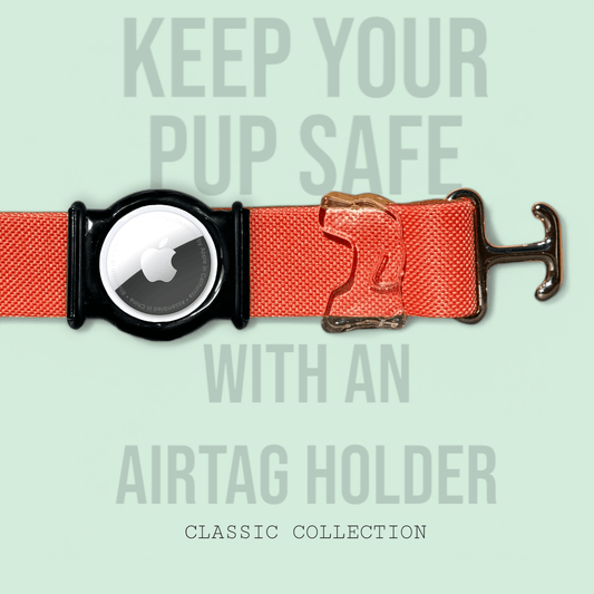 Coral - Classic Collar - hundhaus.dog