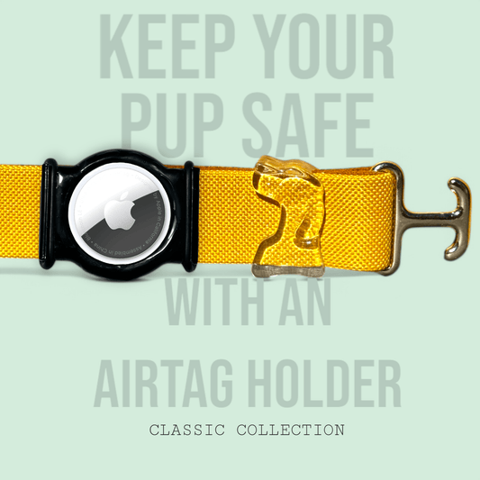 Gold - Classic Collar - hundhaus.dog